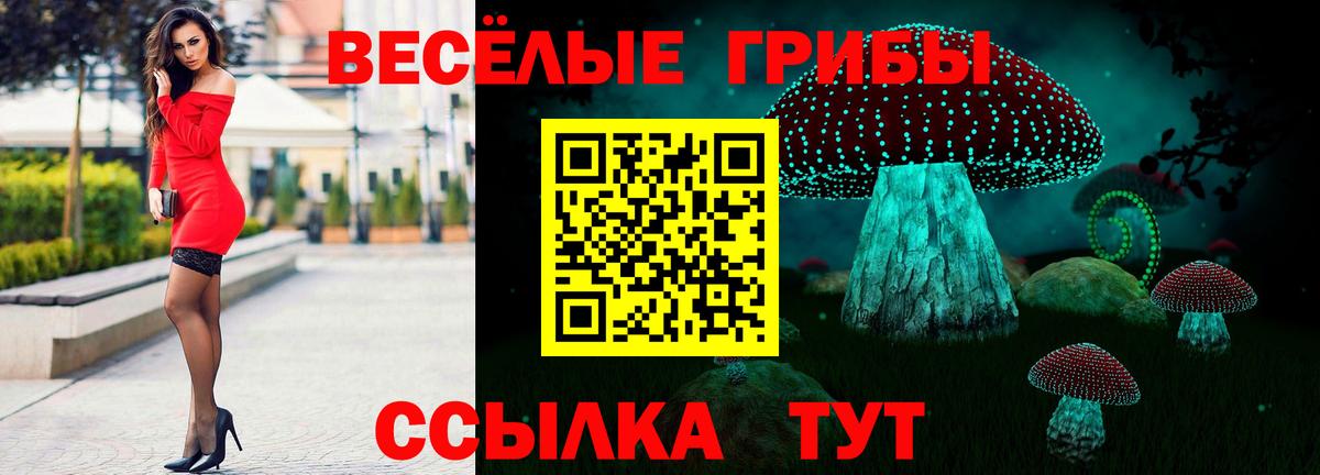 Галлюциногенные грибы Magic Shrooms  где купить наркоту  Нижний Тагил  Вход с VPN 